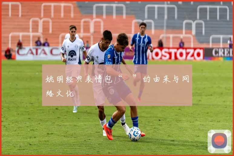 姚明经典表情包“囧”的由来与网络文化