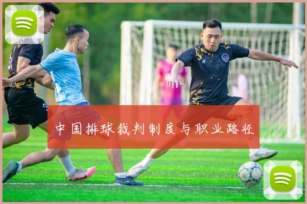 中国排球裁判制度与职业路径