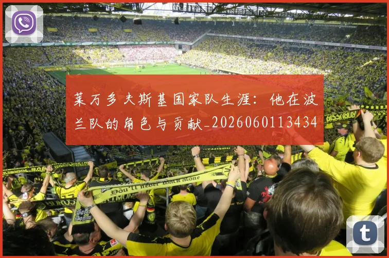 莱万多夫斯基国家队生涯：他在波兰队的角色与贡献_20260601134348